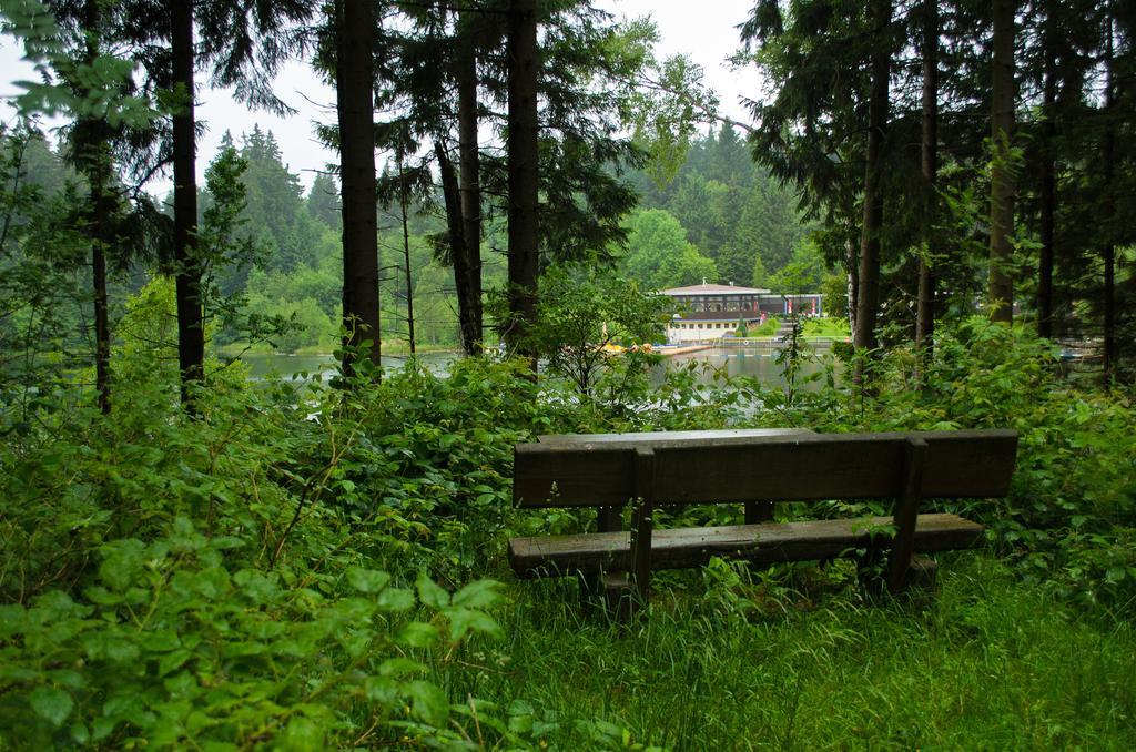 Hotel Waldrausch Goslar Esterno foto