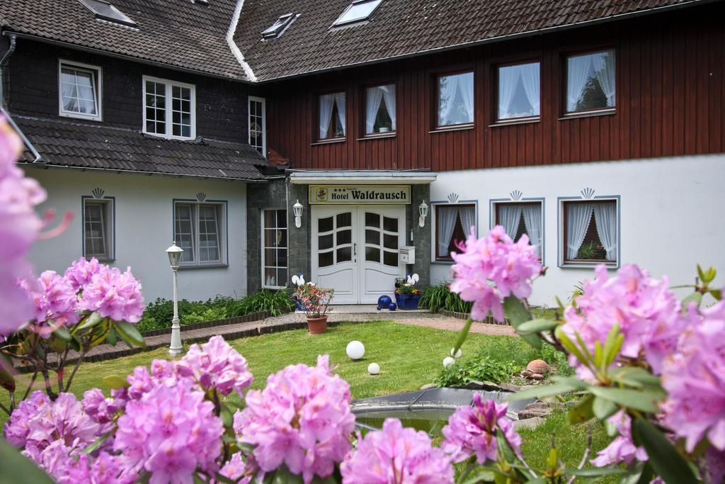 Hotel Waldrausch Goslar Esterno foto